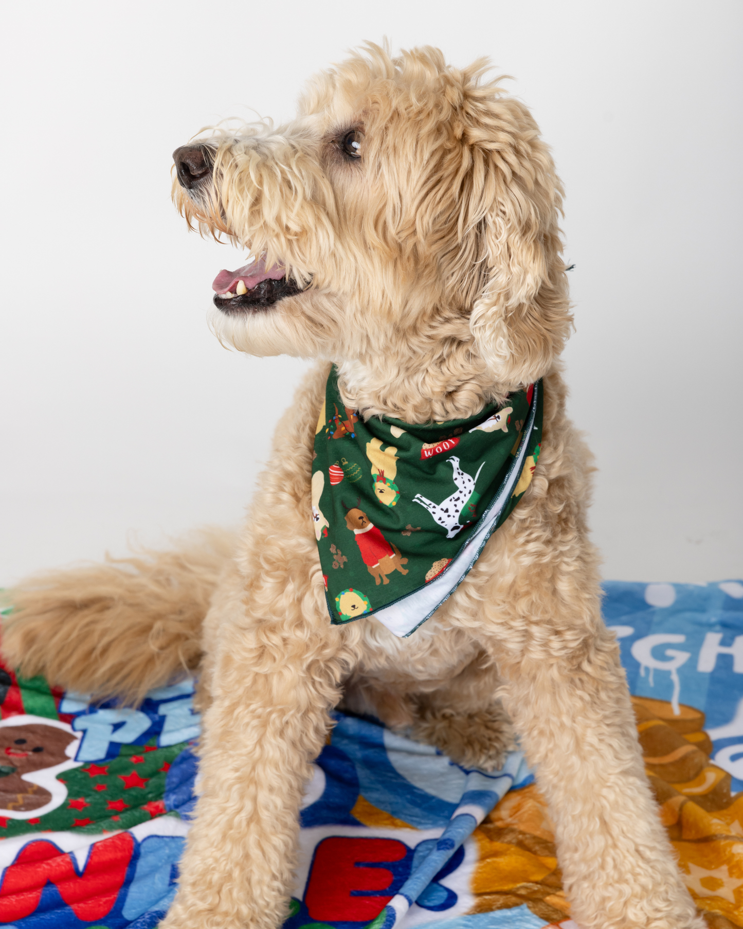 Merry Woofmas Dog Bandana
