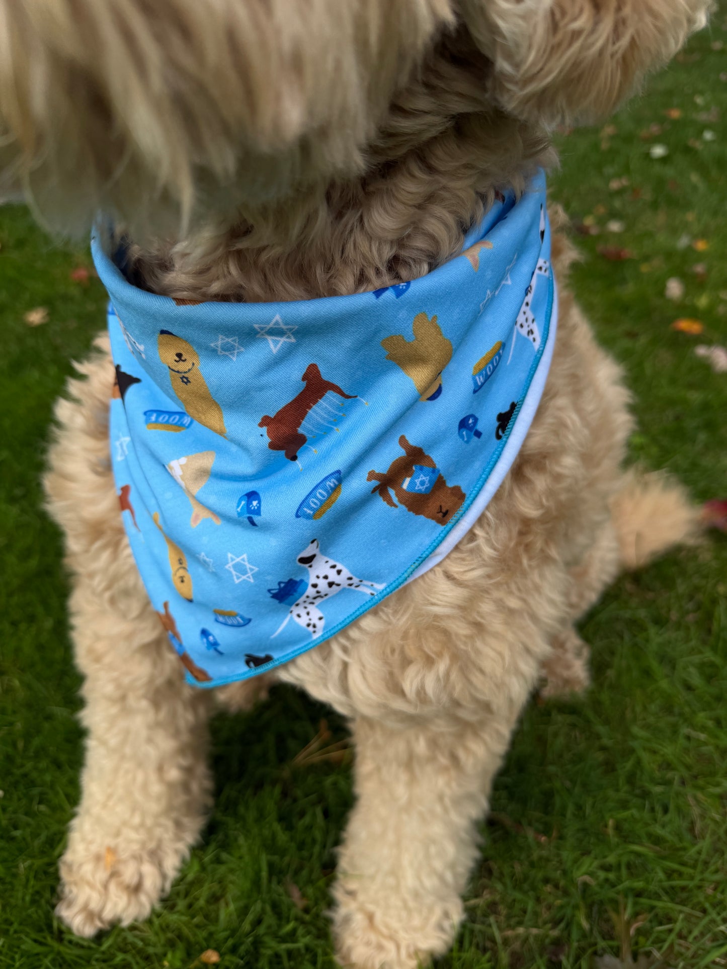 Paw-nukkah Dog Bandana