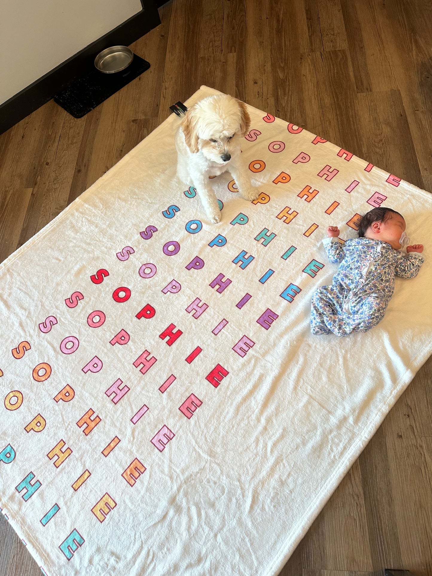 Repeat Name Blanket (multiple color ways)